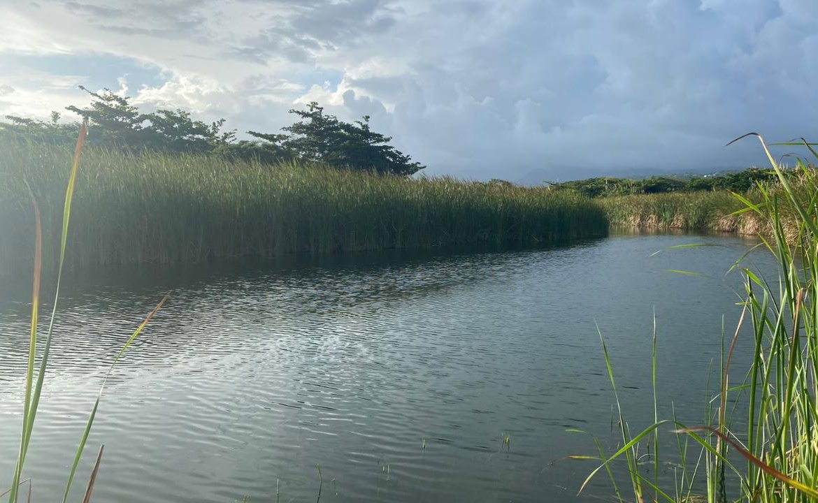 Ninth image of Morant Bay Quarry in Morant Bay, St. Thomas, Jamaica - property is For Sale