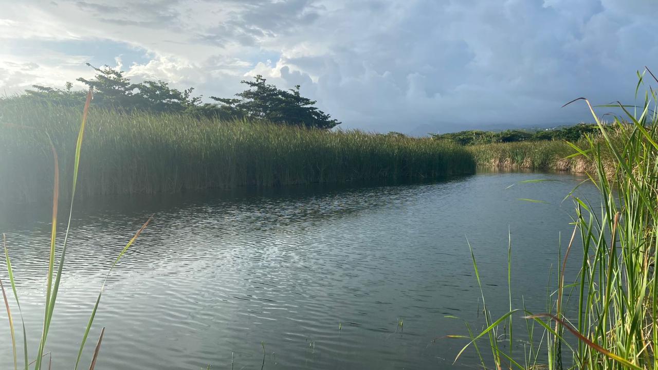 Ninth image of Morant Bay Quarry in Morant Bay, St. Thomas, Jamaica - property is For Sale