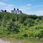 First image of Lot 135 Part of Southaven, Part o in Yallahs, St. Thomas, Jamaica - property is For Sale
