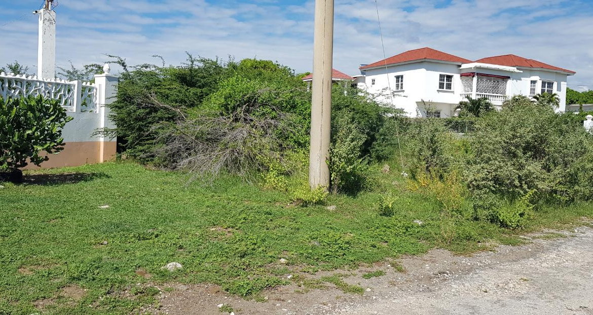 Third image of Lot 135 Part of Southaven, Part o in Yallahs, St. Thomas, Jamaica - property is For Sale