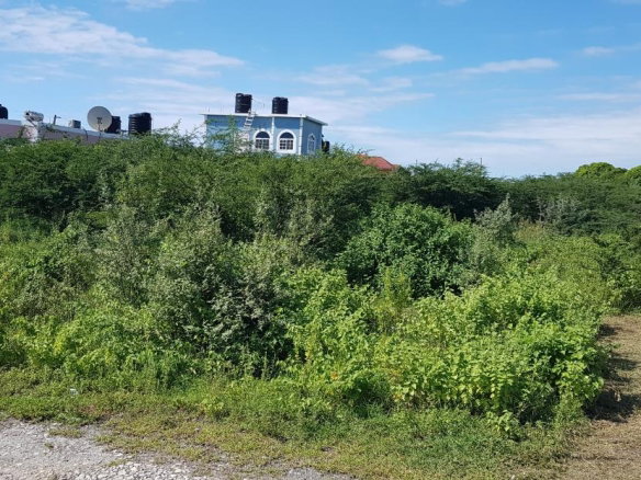 First image of Lot 135 Part of Southaven, Part o in Yallahs, St. Thomas, Jamaica - property is For Sale