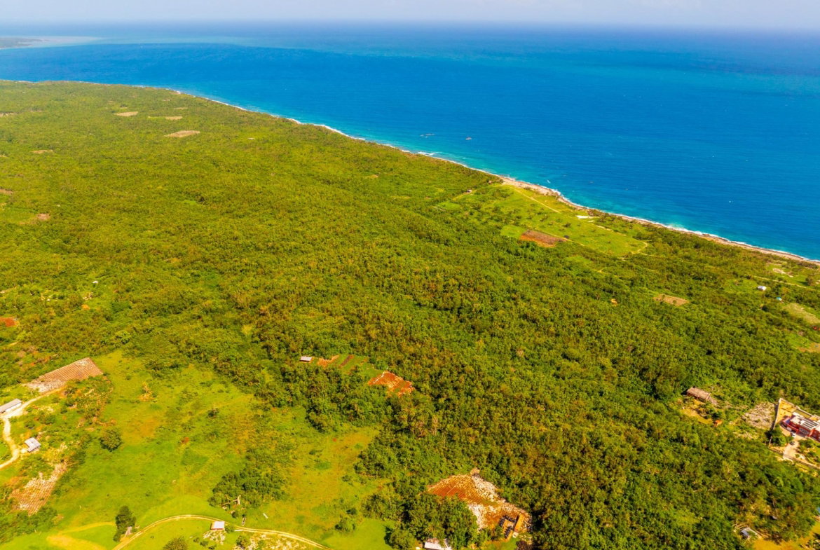 Third image of 1- Orange Hill in Mount Airy, Westmoreland, Jamaica - property is For Sale