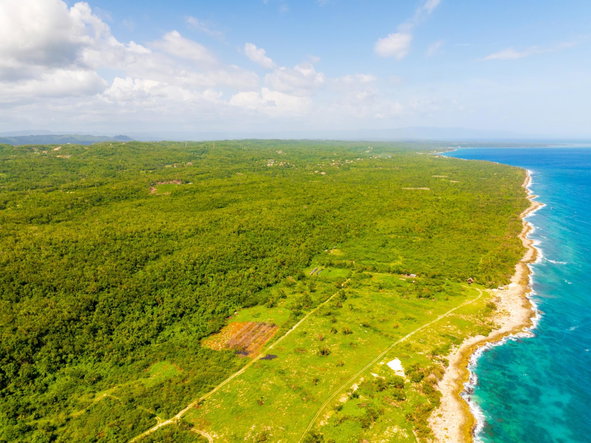 Eighth image of 1- Orange Hill in Mount Airy, Westmoreland, Jamaica - property is For Sale