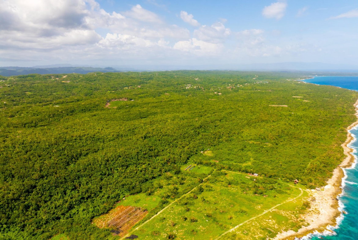 Ninth image of 1- Orange Hill in Mount Airy, Westmoreland, Jamaica - property is For Sale