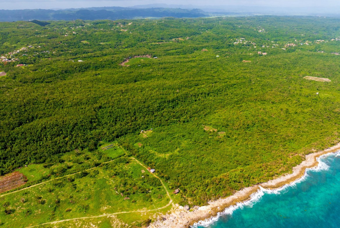Tenth image of 1- Orange Hill in Mount Airy, Westmoreland, Jamaica - property is For Sale