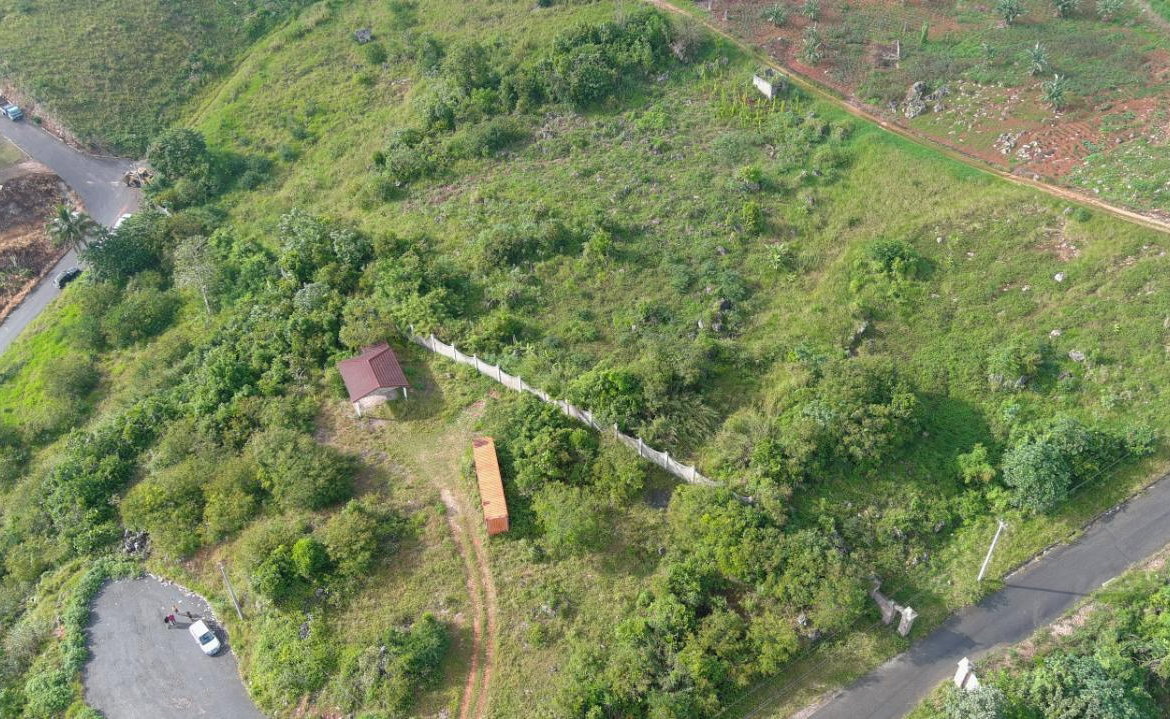Fifth image of Providence Meadows in Christiana, Manchester, Jamaica - property is For Sale