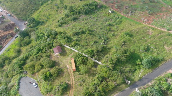 Fifth image of Providence Meadows in Christiana, Manchester, Jamaica - property is For Sale