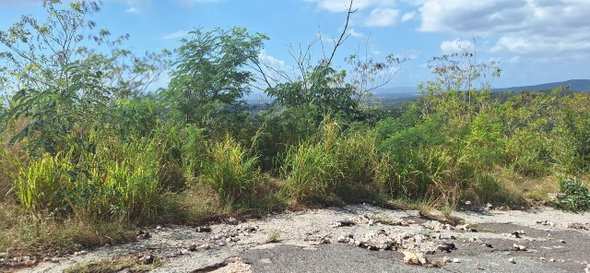 Second image of 55 Tom Cringle Drive in Red Hills, St. Andrew, Jamaica - property is For Sale