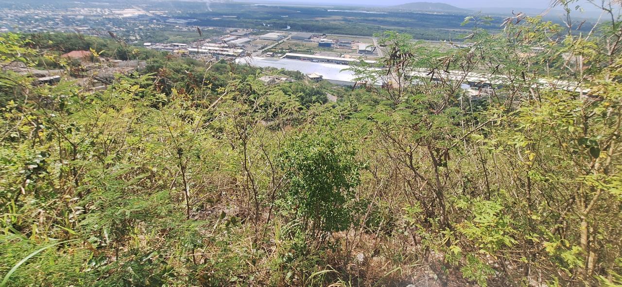 Seventh image of 55 Tom Cringle Drive in Red Hills, St. Andrew, Jamaica - property is For Sale