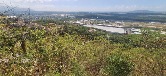 First image of 55 Tom Cringle Drive in Red Hills, St. Andrew, Jamaica - property is For Sale