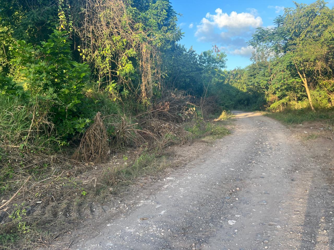 Second image of Lot 50 Sevens Plantation in May Pen, Clarendon, Jamaica - property is For Sale