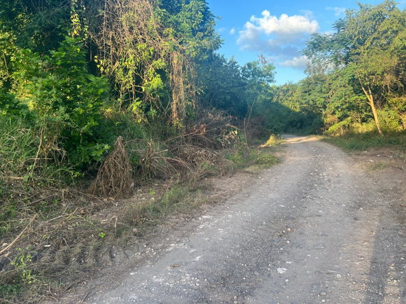 Second image of Lot 50 Sevens Plantation in May Pen, Clarendon, Jamaica - property is For Sale
