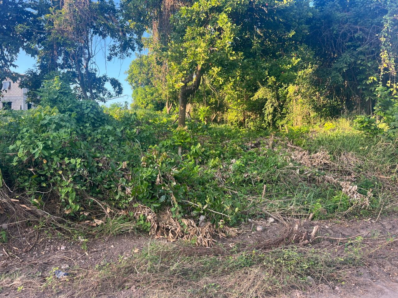 Sixth image of Lot 50 Sevens Plantation in May Pen, Clarendon, Jamaica - property is For Sale
