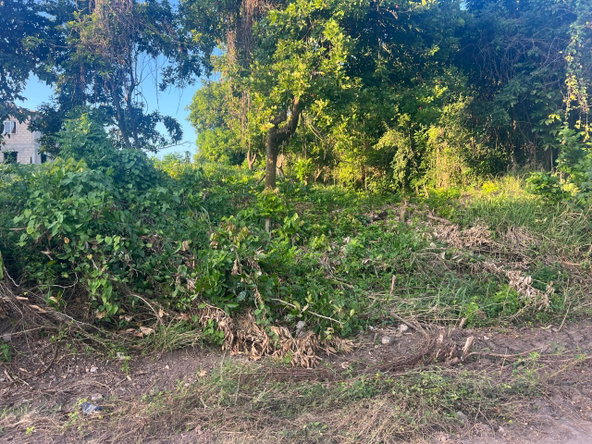 Sixth image of Lot 50 Sevens Plantation in May Pen, Clarendon, Jamaica - property is For Sale