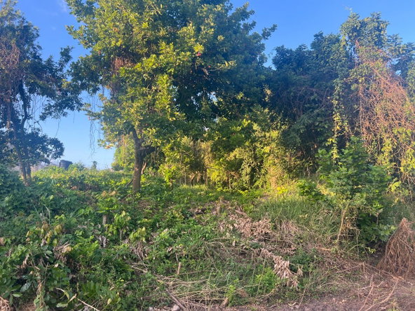 Eighth image of Lot 50 Sevens Plantation in May Pen, Clarendon, Jamaica - property is For Sale
