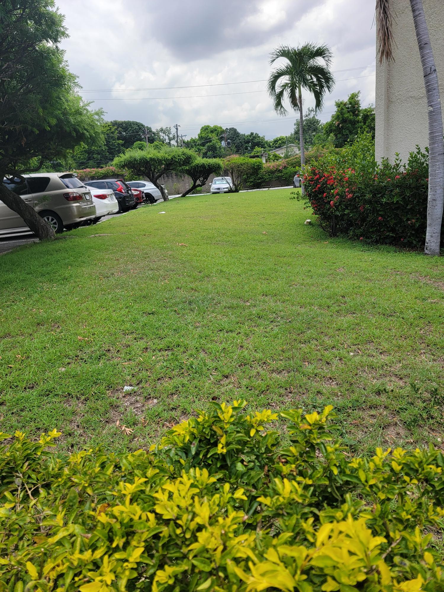 Fourth image of Blocke 305-114 1/2 Constant Spring Rd. in Kingston 8, St. Andrew, Jamaica - property is For Rent