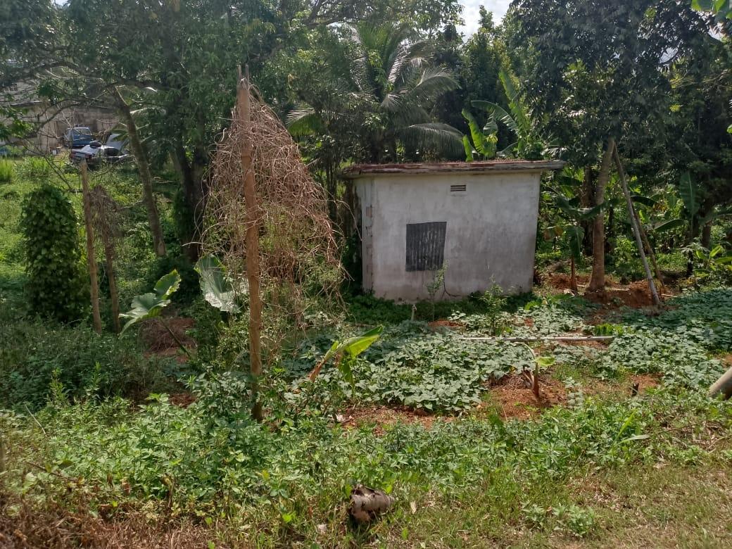 Second image of Salibury Plain,stony Hill in Kingston 9, St. Andrew, Jamaica - property is For Sale