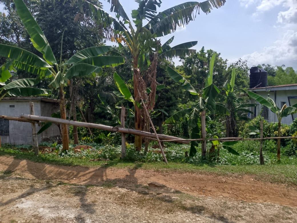Third image of Salibury Plain,stony Hill in Kingston 9, St. Andrew, Jamaica - property is For Sale