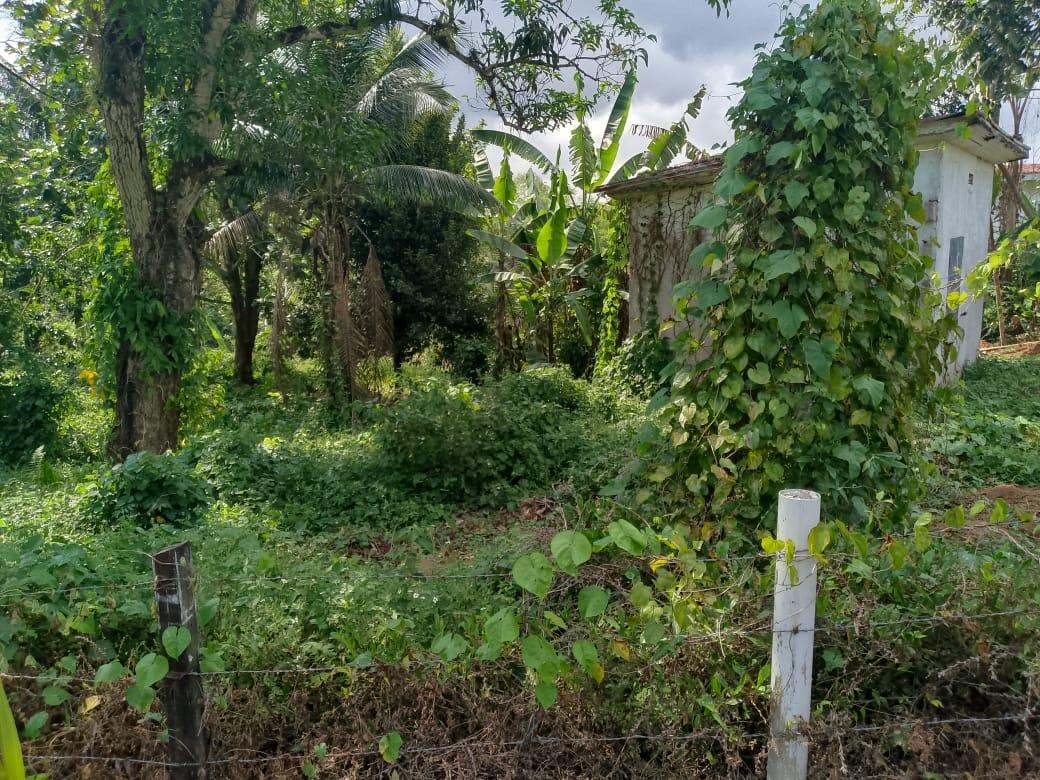 Fourth image of Salibury Plain,stony Hill in Kingston 9, St. Andrew, Jamaica - property is For Sale