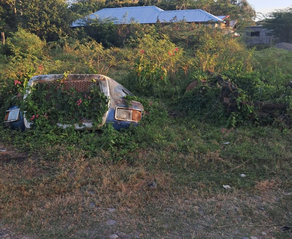 Fourth image of 4 pt Den, Sunrise Crescent in Denbigh, Clarendon, Jamaica - property is For Sale