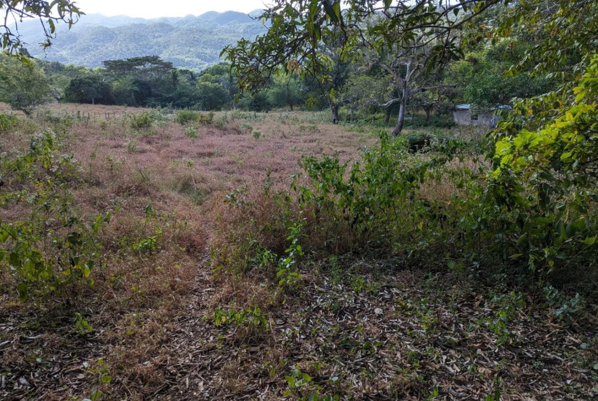 Second image of Evergreen Comfort, in Comfort, Manchester, Jamaica - property is For Sale