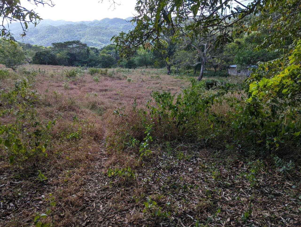 Second image of Evergreen Comfort, in Comfort, Manchester, Jamaica - property is For Sale