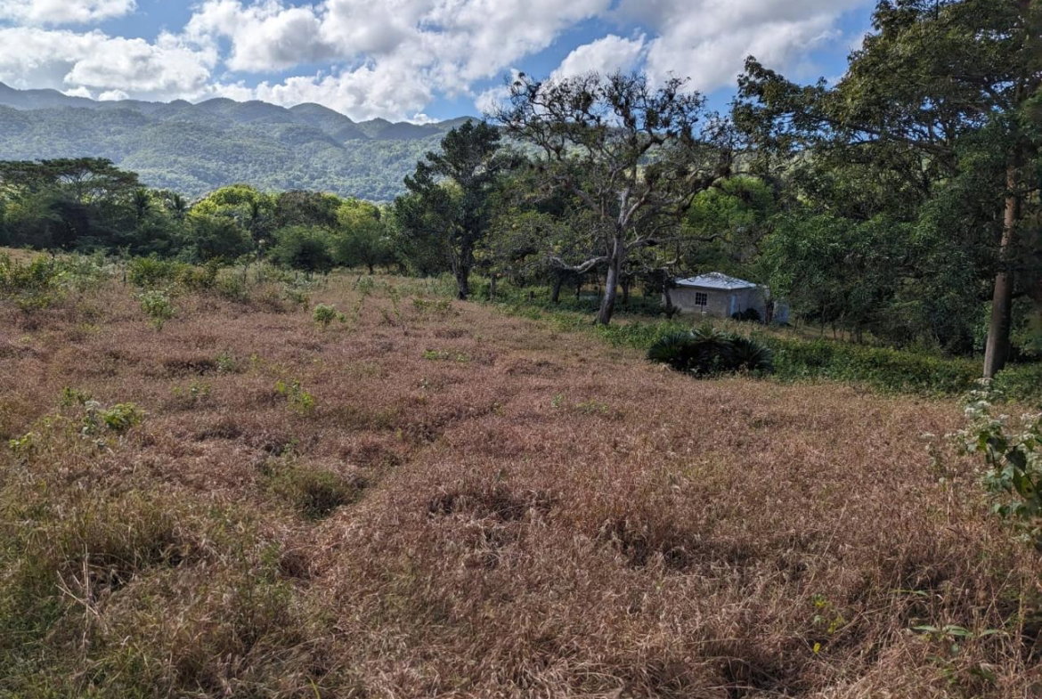 First image of Evergreen Comfort, in Comfort, Manchester, Jamaica - property is For Sale
