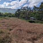 First image of Evergreen Comfort, in Comfort, Manchester, Jamaica - property is For Sale