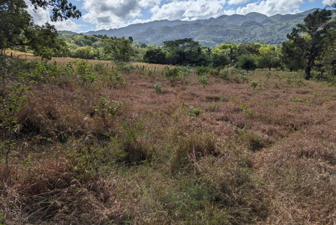 Fourth image of Evergreen Comfort, in Comfort, Manchester, Jamaica - property is For Sale