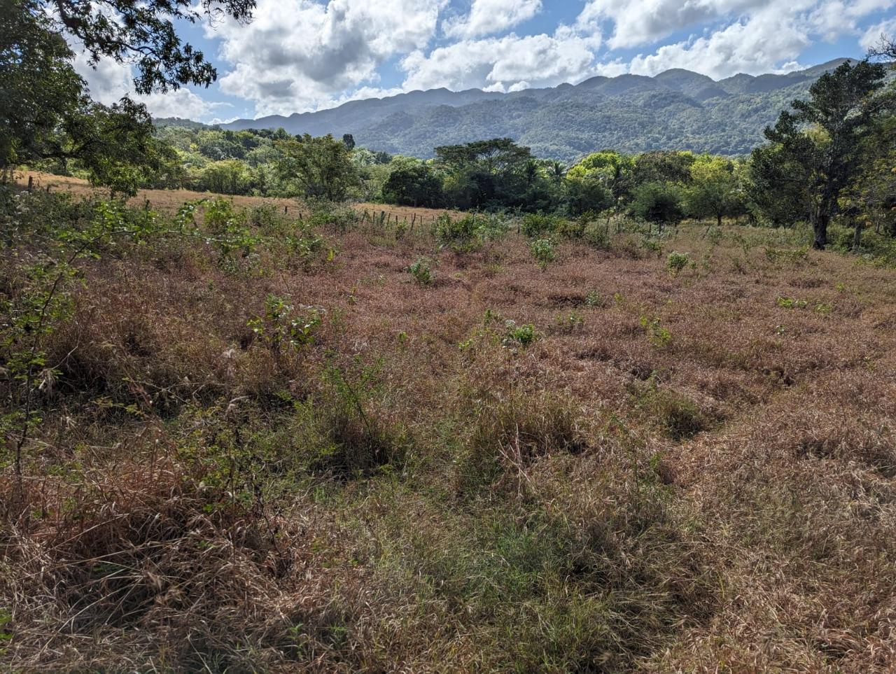 Fourth image of Evergreen Comfort, in Comfort, Manchester, Jamaica - property is For Sale