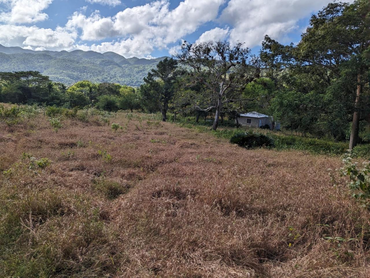First image of Evergreen Comfort, in Comfort, Manchester, Jamaica - property is For Sale