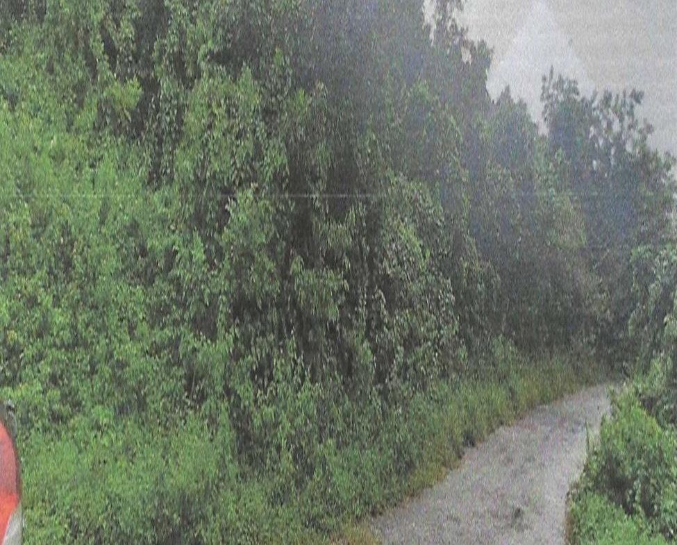 Second image of Land Part of Friendship in Friendship, Hanover, Jamaica - property is For Sale