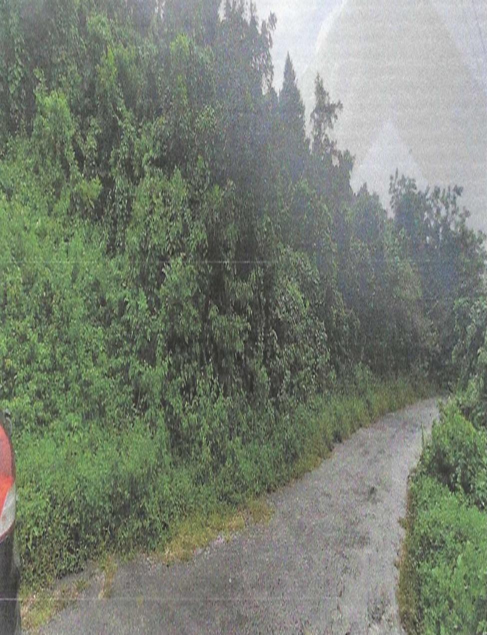 Second image of Land Part of Friendship in Friendship, Hanover, Jamaica - property is For Sale