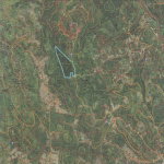 First image of Land Part of Friendship in Friendship, Hanover, Jamaica - property is For Sale