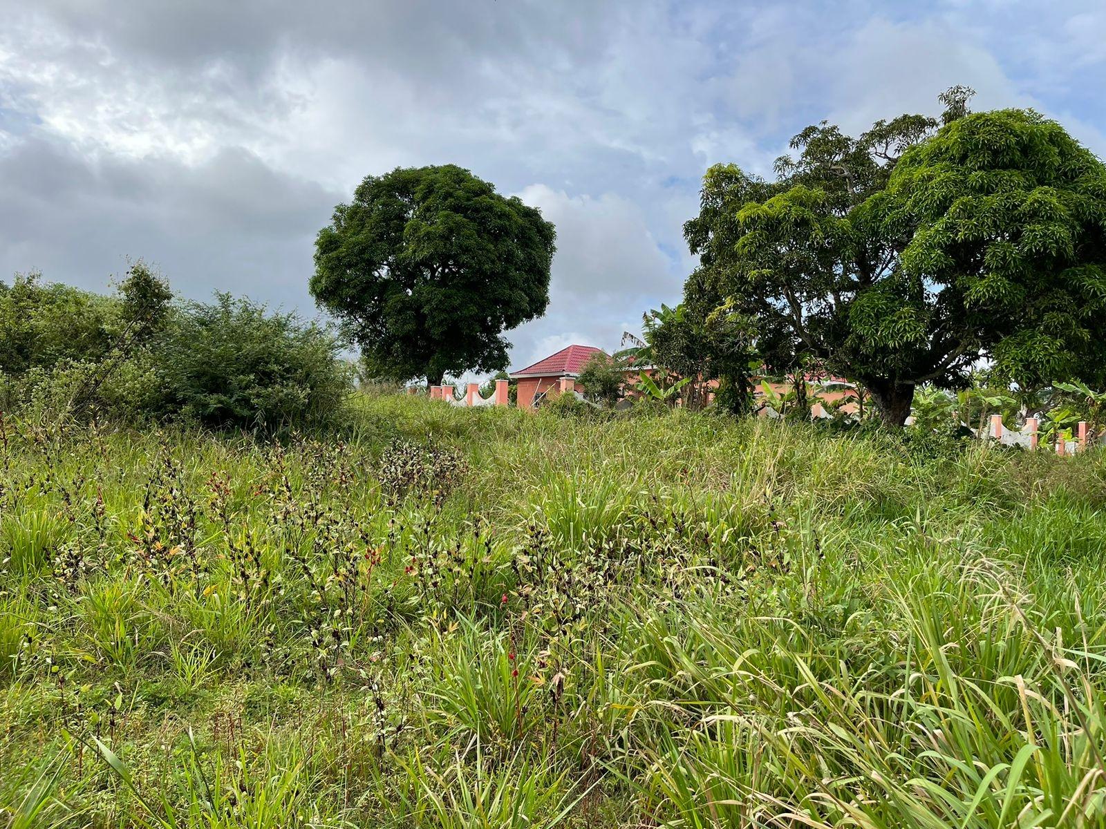 Third image of Ludlow in Kellits, Clarendon, Jamaica - property is For Sale