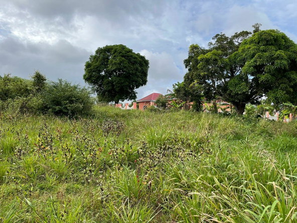 Third image of Ludlow in Kellits, Clarendon, Jamaica - property is For Sale