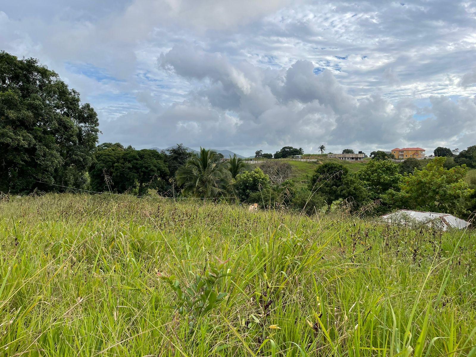 Fourth image of Ludlow in Kellits, Clarendon, Jamaica - property is For Sale
