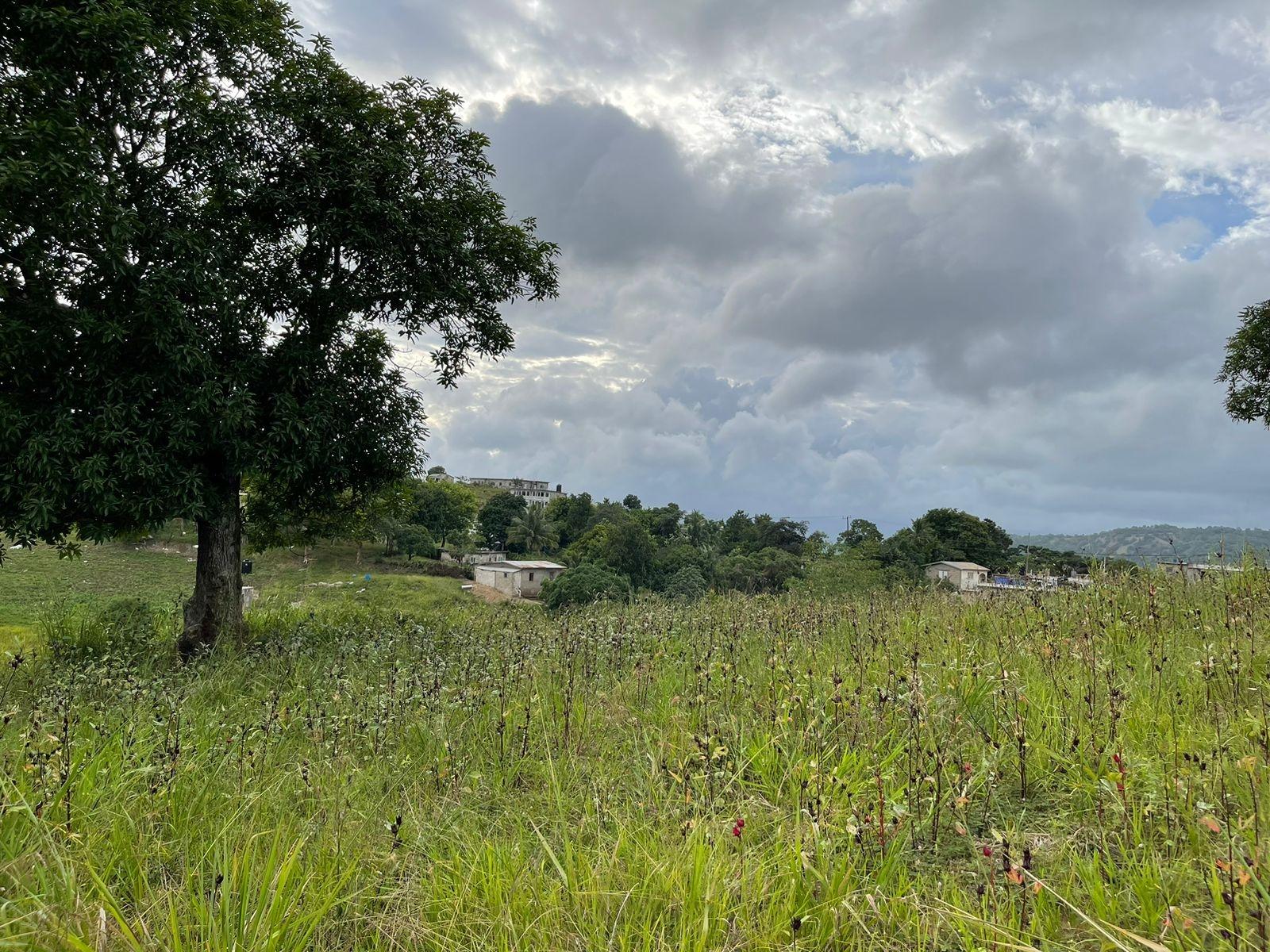Fifth image of Ludlow in Kellits, Clarendon, Jamaica - property is For Sale