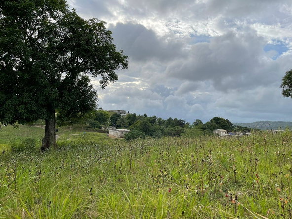 Fifth image of Ludlow in Kellits, Clarendon, Jamaica - property is For Sale