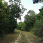 First image of Sligoville Main Road in Sligoville, St. Catherine, Jamaica - property is For Sale