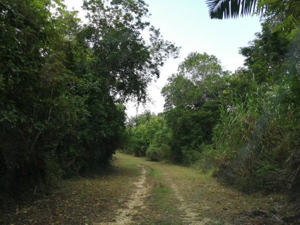 First image of Sligoville Main Road in Sligoville, St. Catherine, Jamaica - property is For Sale
