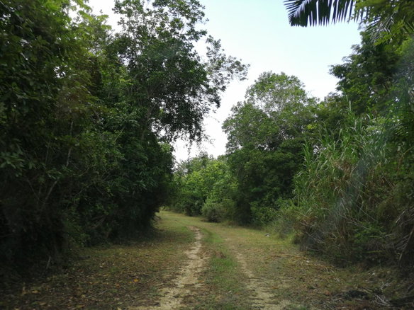 First image of Sligoville Main Road in Sligoville, St. Catherine, Jamaica - property is For Sale