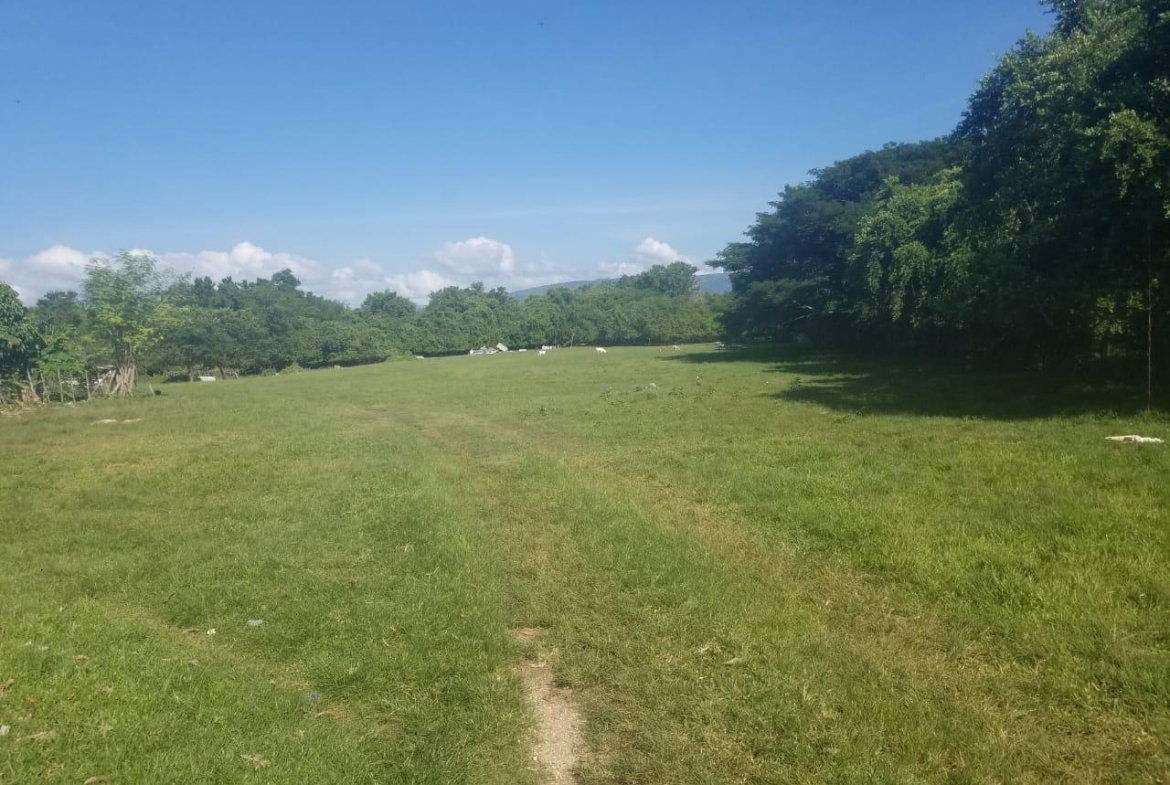 Second image of Lower Works, Black River in Black River, St. Elizabeth, Jamaica - property is For Sale