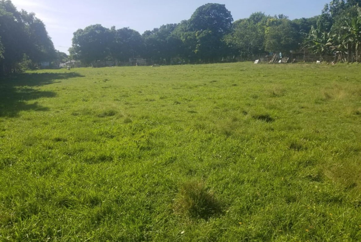 First image of Lower Works, Black River in Black River, St. Elizabeth, Jamaica - property is For Sale
