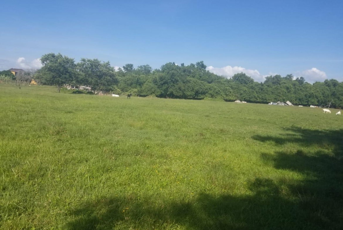 Fourth image of Lower Works, Black River in Black River, St. Elizabeth, Jamaica - property is For Sale