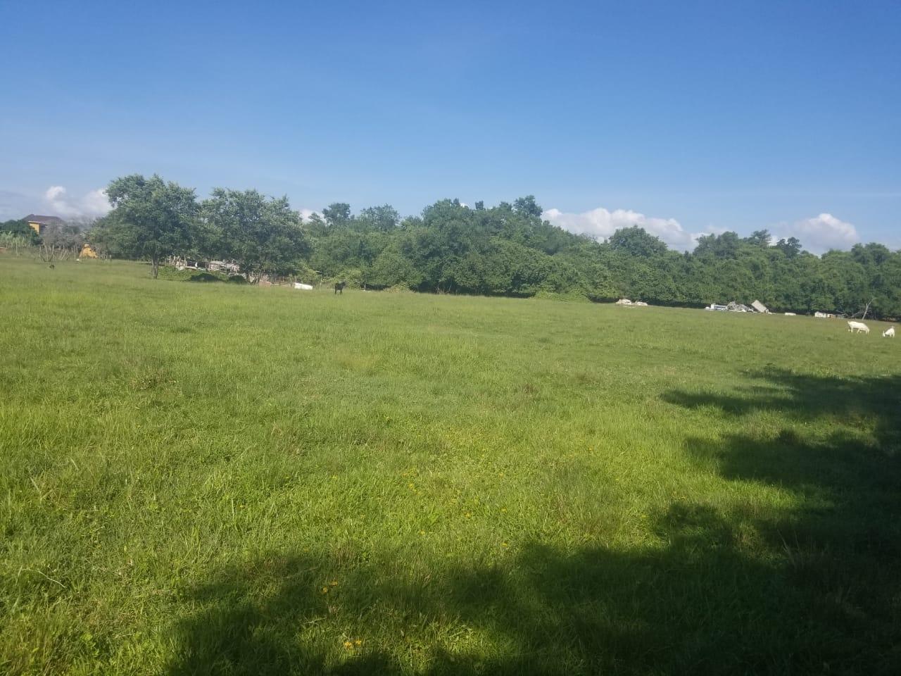 Fourth image of Lower Works, Black River in Black River, St. Elizabeth, Jamaica - property is For Sale