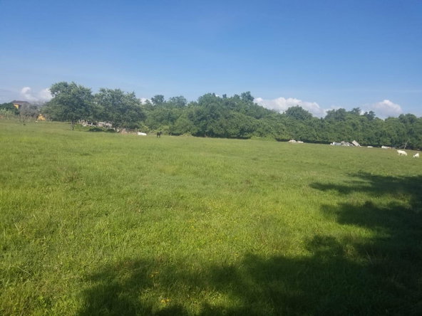 Fourth image of Lower Works, Black River in Black River, St. Elizabeth, Jamaica - property is For Sale