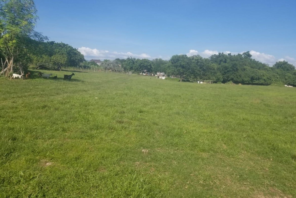 Sixth image of Lower Works, Black River in Black River, St. Elizabeth, Jamaica - property is For Sale