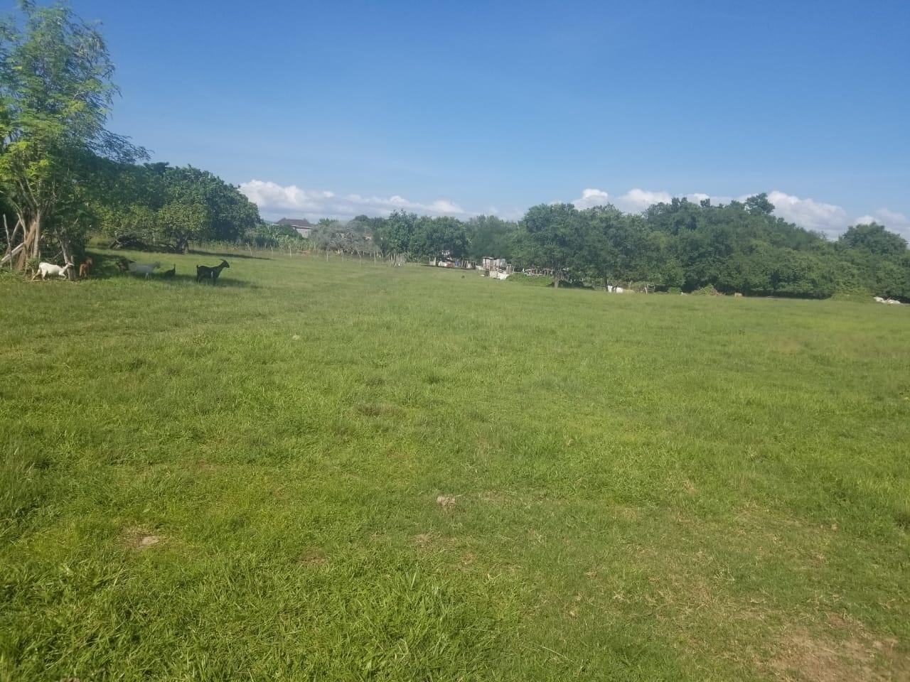Sixth image of Lower Works, Black River in Black River, St. Elizabeth, Jamaica - property is For Sale