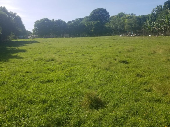 First image of Lower Works, Black River in Black River, St. Elizabeth, Jamaica - property is For Sale